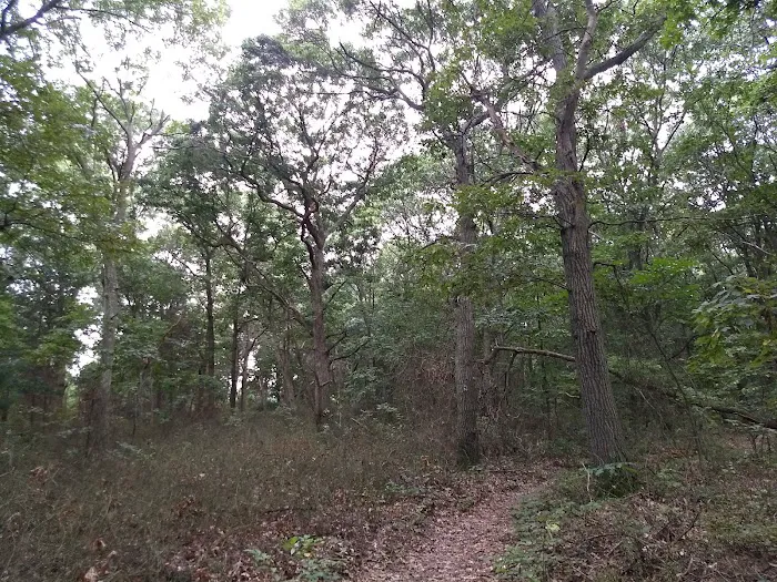 Mary Lane Park Picture 3