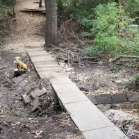 Mary Lane Park ico