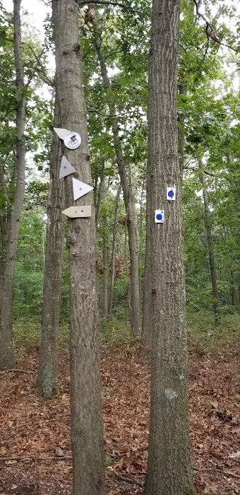 Mary Lane Park Picture 6