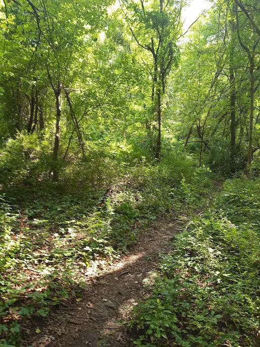 Manetto Hills Park Picture 3