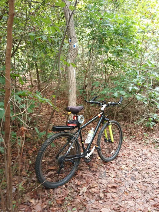 Manetto Hills Park Picture 6