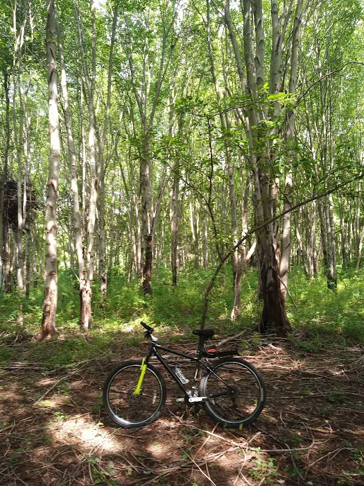 Manetto Hills Park Picture 8