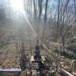 West Rogues Wetlands