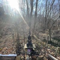 West Rogues Wetlands ico