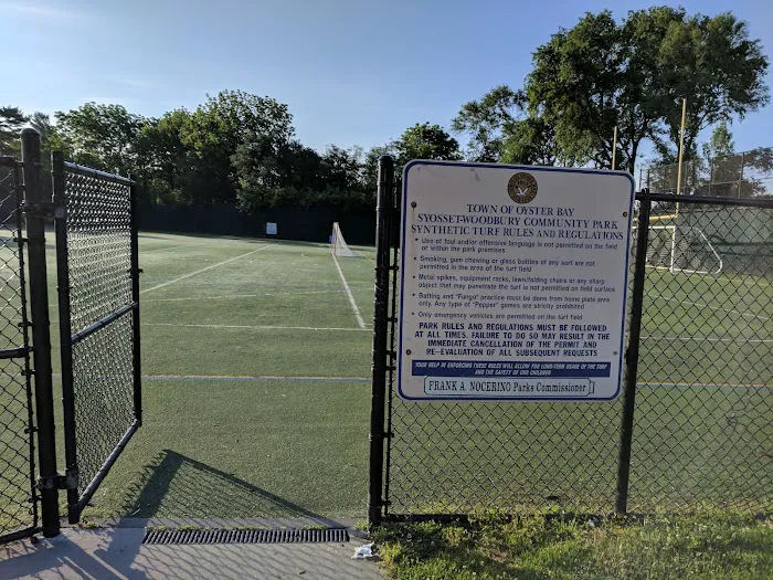 Town of Oyster Bay Plainview P-31 Park Picture 1