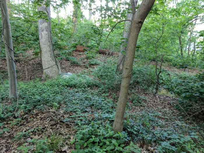 Town of Oyster Bay Plainview P-31 Park Picture 3