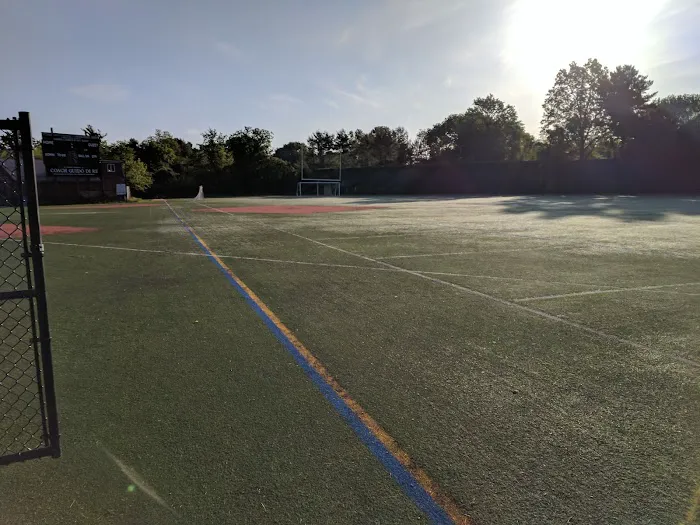 Town of Oyster Bay Plainview P-31 Park Picture 5