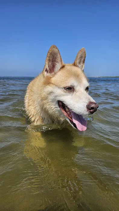 Carbon's Beach Picture 1