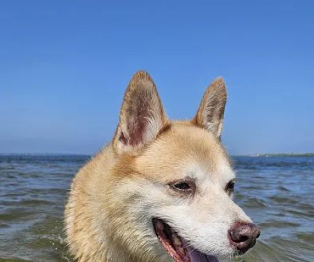 Carbon's Beach