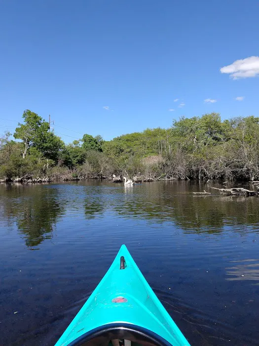 Brown's River Kayak Launch Picture 5