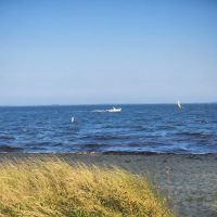 Sayville Marina Park ico