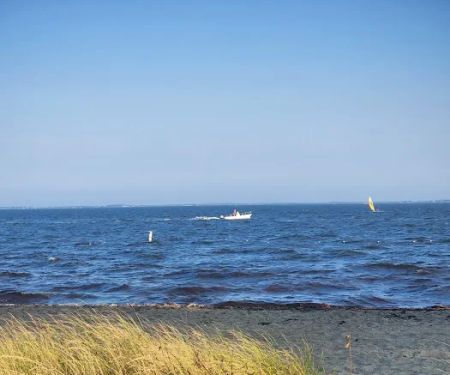 Sayville Marina Park