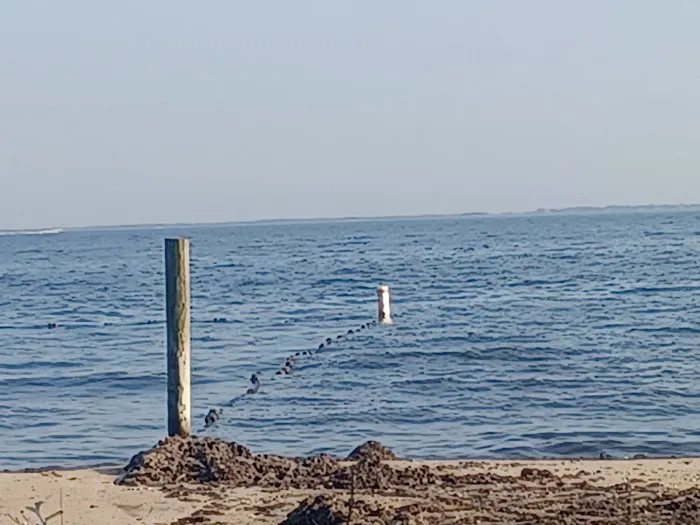 Sayville Marina Park Picture 10