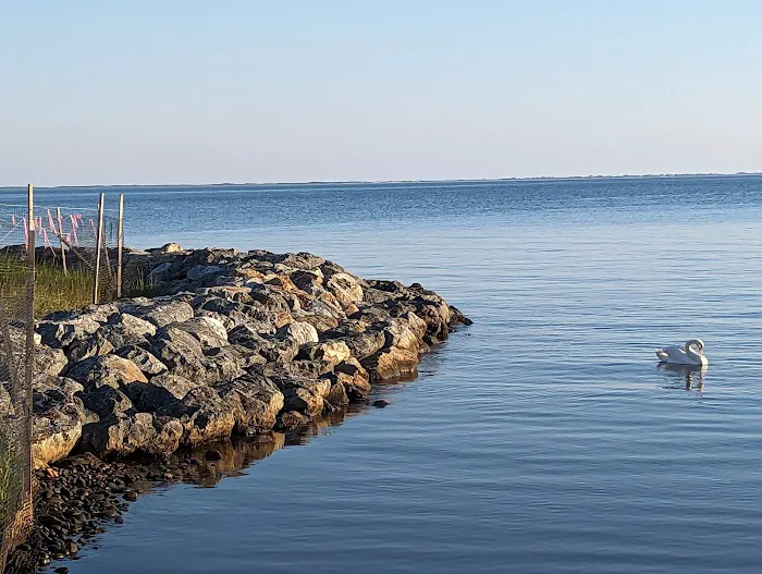 Shorefront Park Picture 7