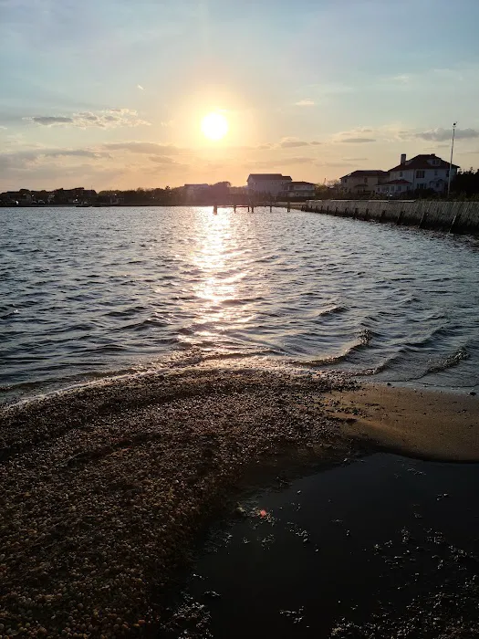 Shorefront Park Picture 9