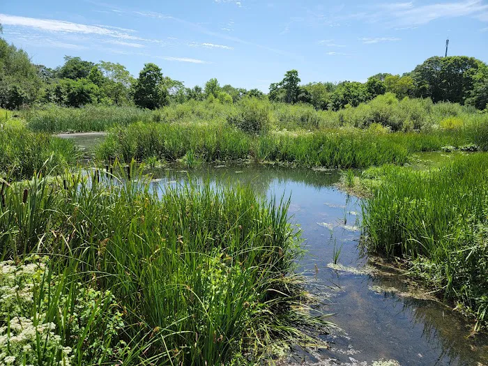 Swan River Preserve Picture 2