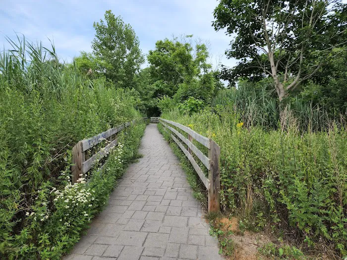 Swan River Preserve Picture 1