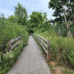 Swan River Preserve