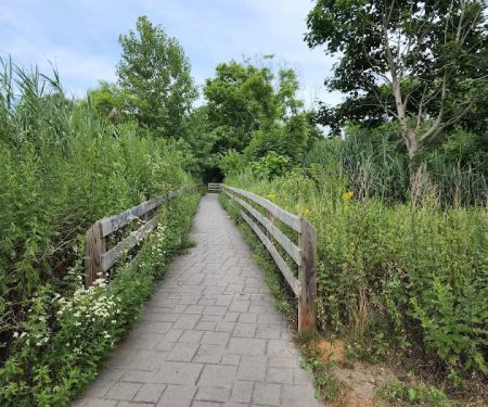 Swan River Preserve