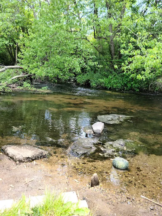 Swan River Preserve Picture 3