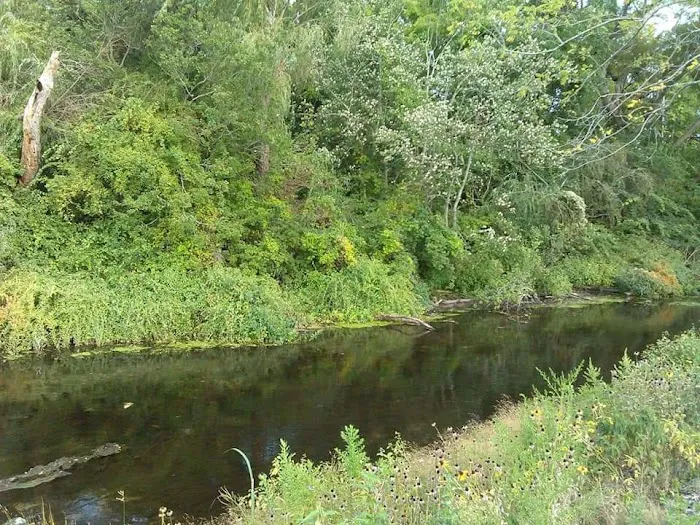 Swan River Preserve Picture 5