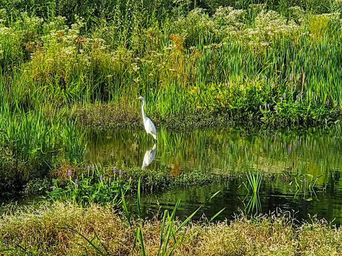 Swan River Preserve Picture 4