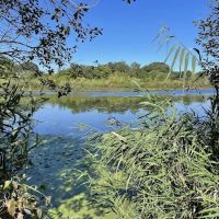 Swan Lake Park ico