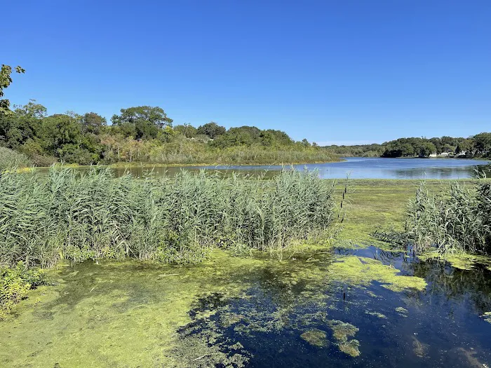 Swan Lake Park Picture 2