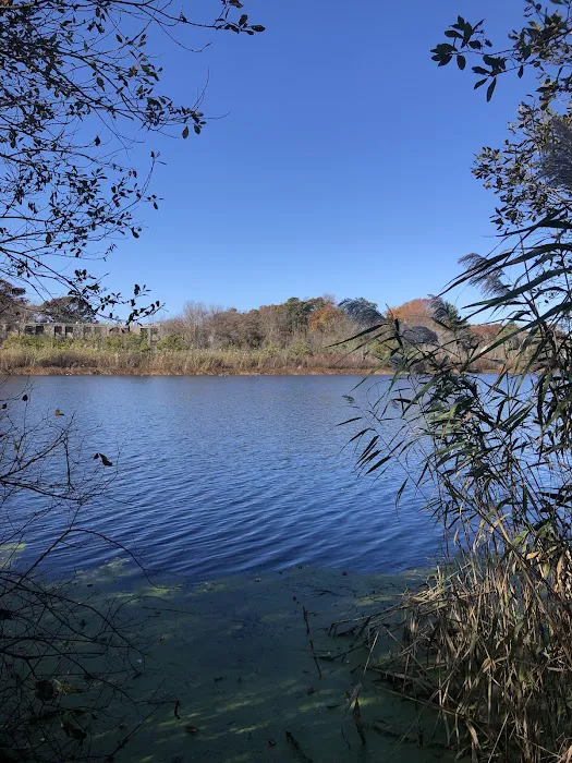 Swan Lake Park Picture 3