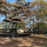 Debbie Lane Park