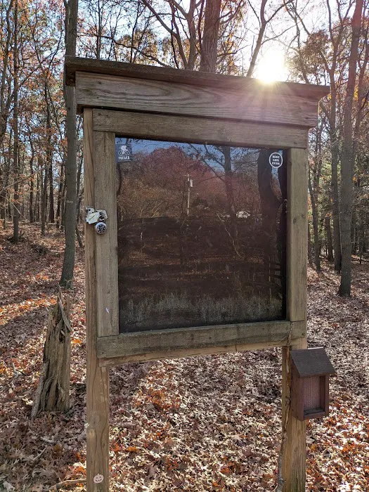 Fish Thicket Preserve Picture 2