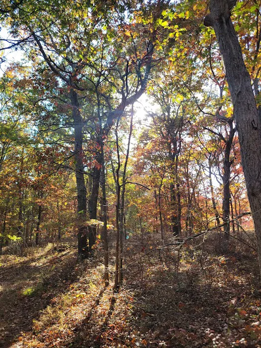 Fish Thicket Preserve Picture 1