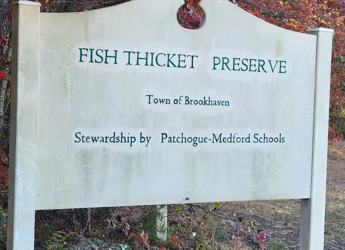 Fish Thicket Preserve Picture 6