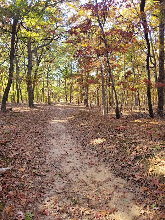 Fish Thicket Preserve Picture 5