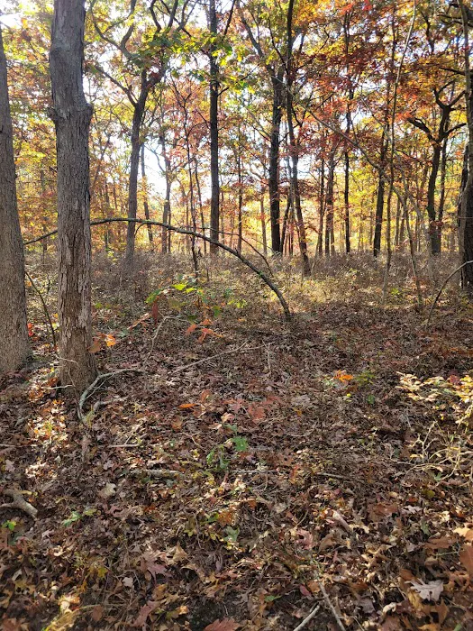 Fish Thicket Preserve Picture 7
