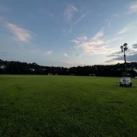 Sipp Avenue Complex ico