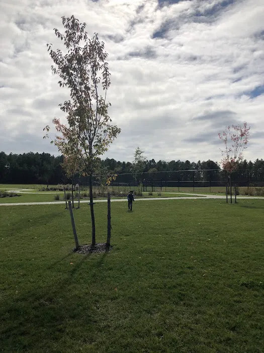 Twelve Pines Park (Southaven Avenue) Picture 9