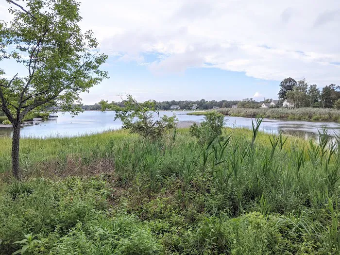 East Setauket Pond Park Picture 3