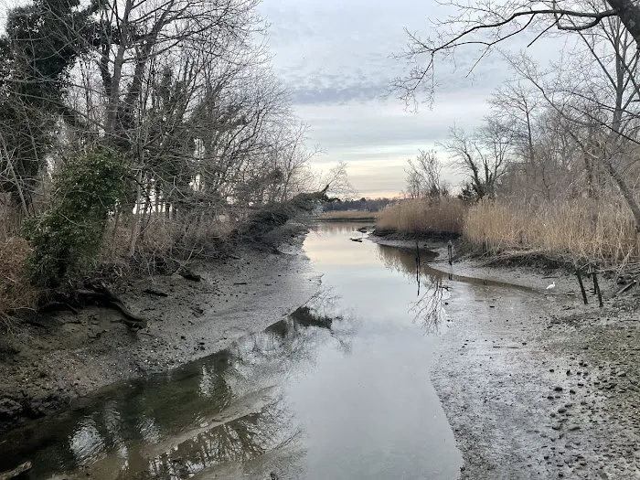 East Setauket Pond Park Picture 6