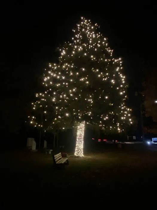Setauket Veterans Memorial Park Picture 4