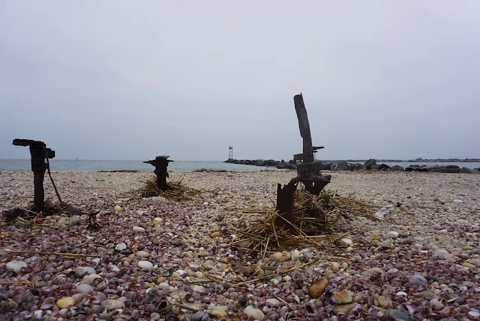 Whitehall Beach Picture 1