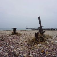 Whitehall Beach ico