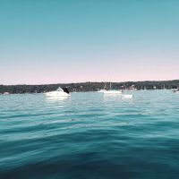 California Park ico