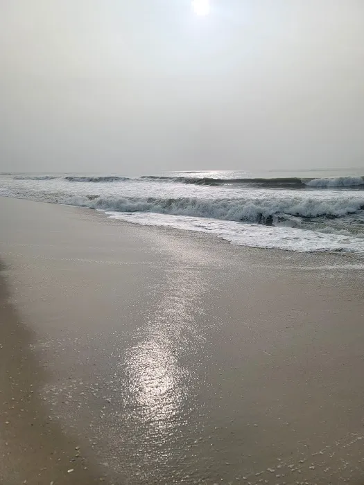 Robert Moses Boardwalk Picture 3