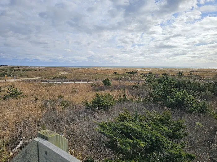 Robert Moses Boardwalk Picture 9