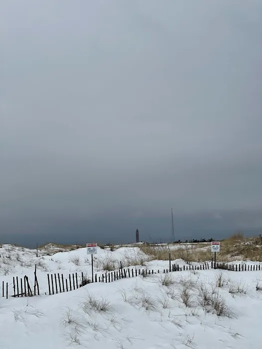 Robert Moses Boardwalk Picture 8