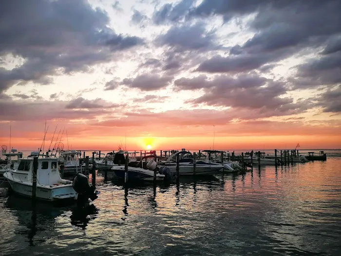 The Palms Hotel Fire Island Picture 9