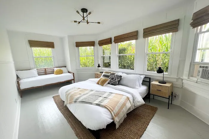 The Salted Bungalow Picture 3