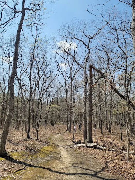Bethpage State Park Staging Area Long Island Picture 6