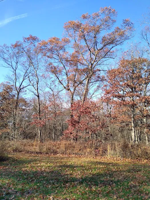 Bethpage State Park Bicycle Path Picture 8